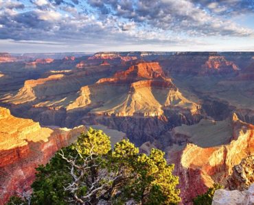 Grand Canyon Tours