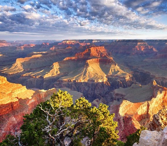 Grand Canyon Tours